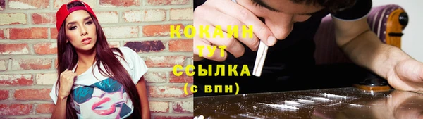 гашик Бронницы