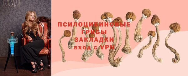 гашик Бронницы