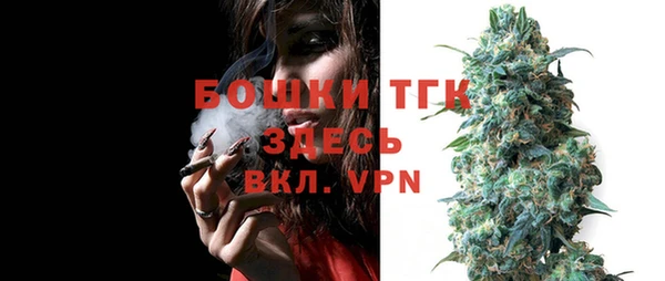 хмурый Бородино