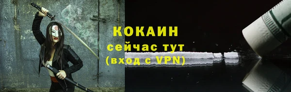 хмурый Бородино