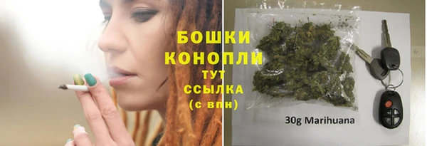 гашик Бронницы