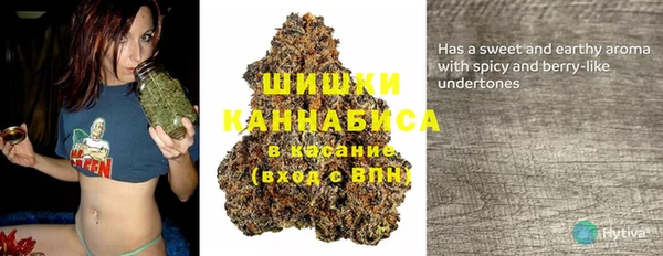 гашик Бронницы
