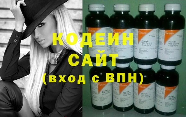 хмурый Бородино