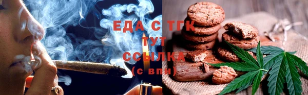 хмурый Бородино