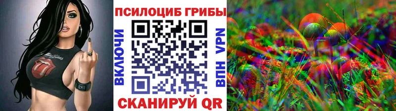 Галлюциногенные грибы мицелий  Перевоз 
